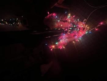 2626312631, female escort, Racine